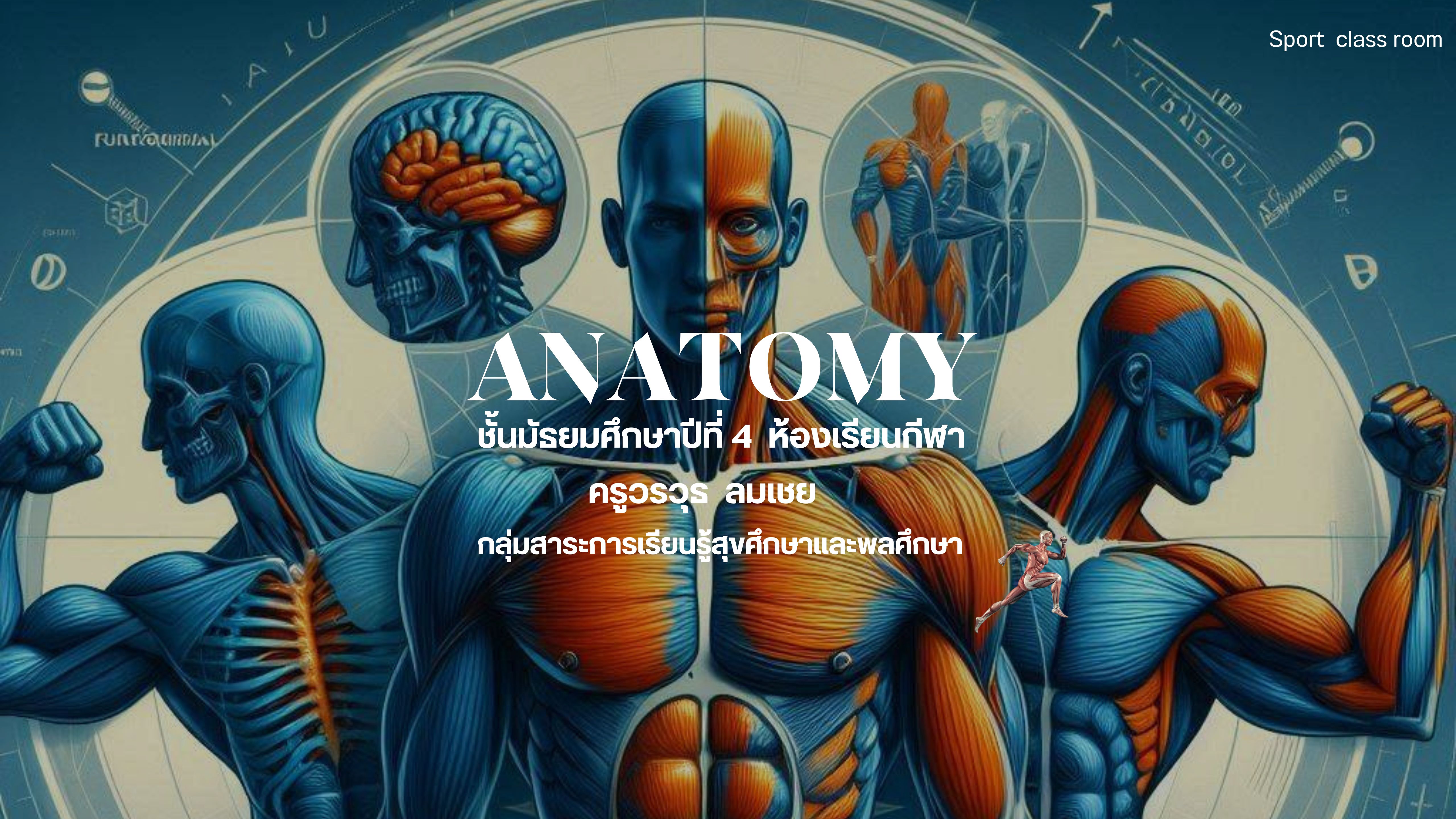 Anatomy